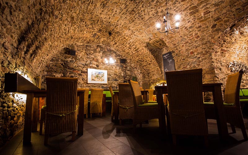 Gecko Lounge - Koblenz