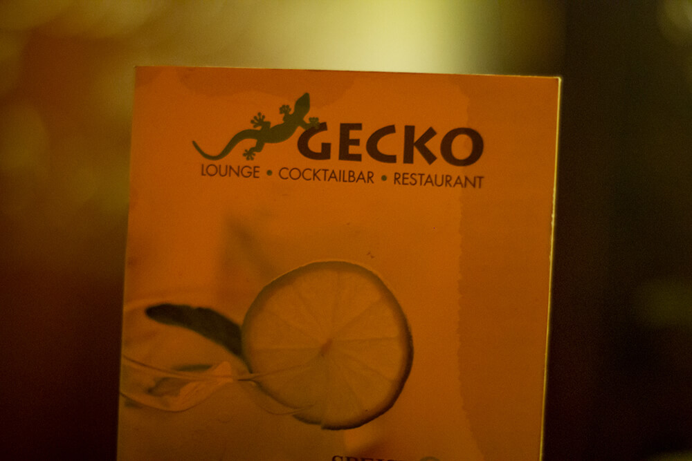 GECKOTRONIC // 27.07.2013 / Gecko Lounge Koblenz © Robert Jaworski - www.Fotografie-ohne-Grenzen.de