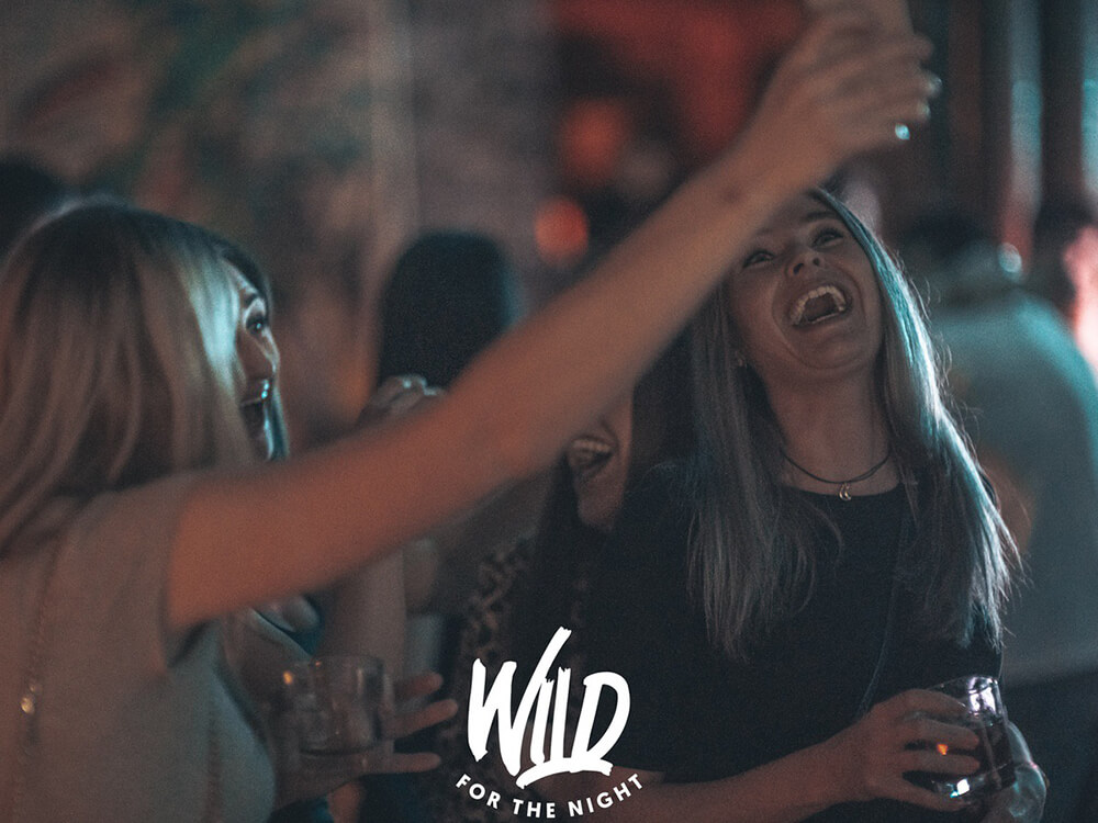 Wild For The Night Vol. I // 06.04.2019 / Gecko Lounge Koblenz
